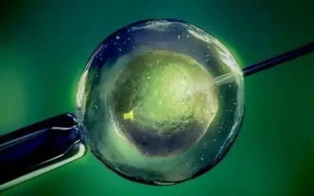 关于三代试管代怀生子